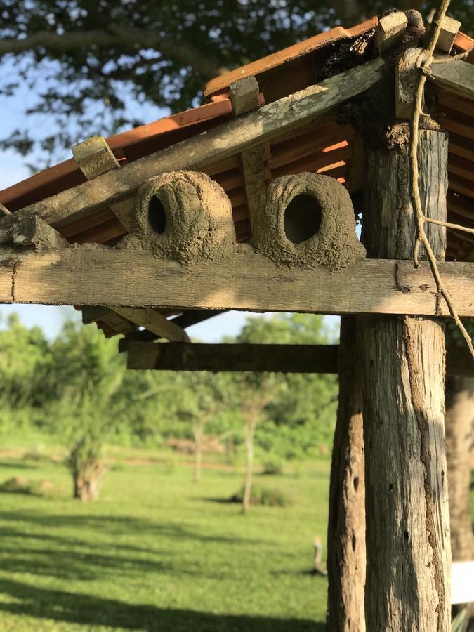 Pousada Reserva Ecologica Jaguar Poconé Zewnętrze zdjęcie